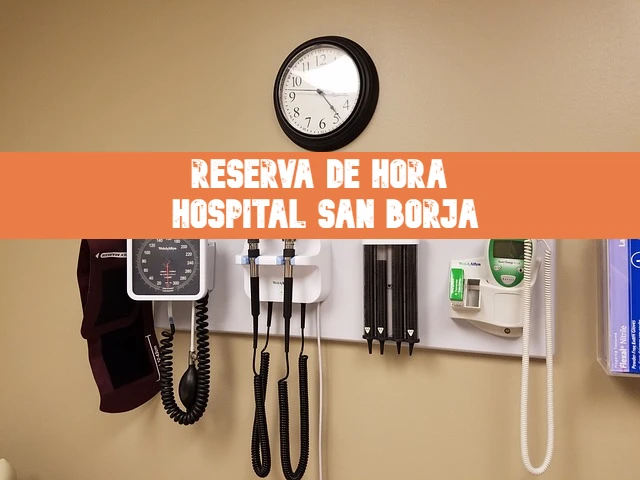 Reserva de horas Hospital San Borja