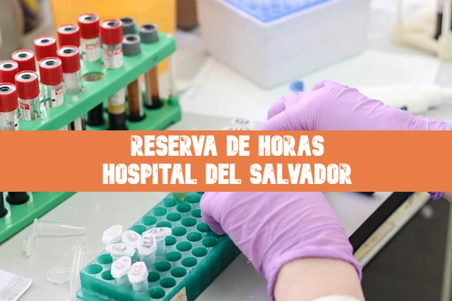 Reserva de horas Hospital del salvador